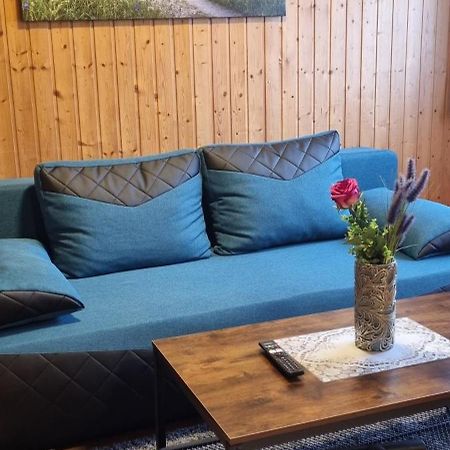 City Apartment Triberg トリベルク エクステリア 写真