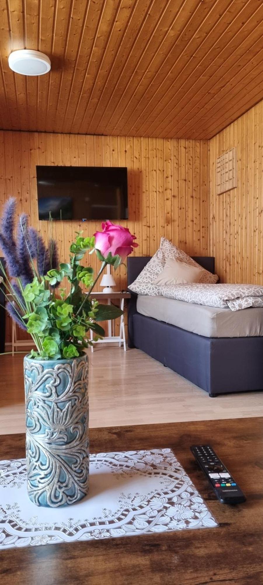 City Apartment Triberg トリベルク エクステリア 写真